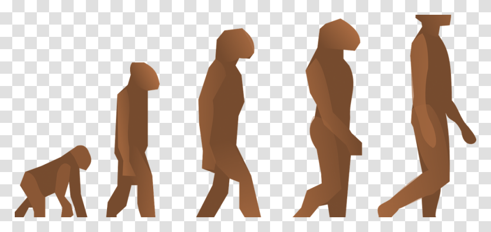 Evolution Human Evolution, Pants, Person, Animal Transparent Png