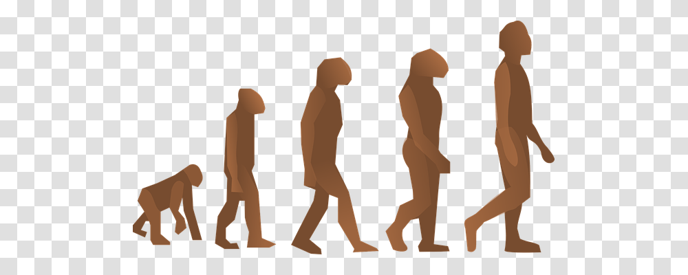 Evolution Technology, Pants, Suit Transparent Png