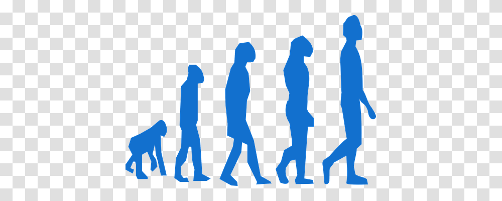 Evolution Person, Lighting, Silhouette Transparent Png