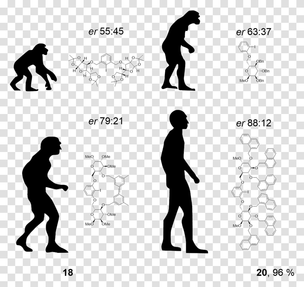 Evolution Handstand, Person, Silhouette, Plot Transparent Png