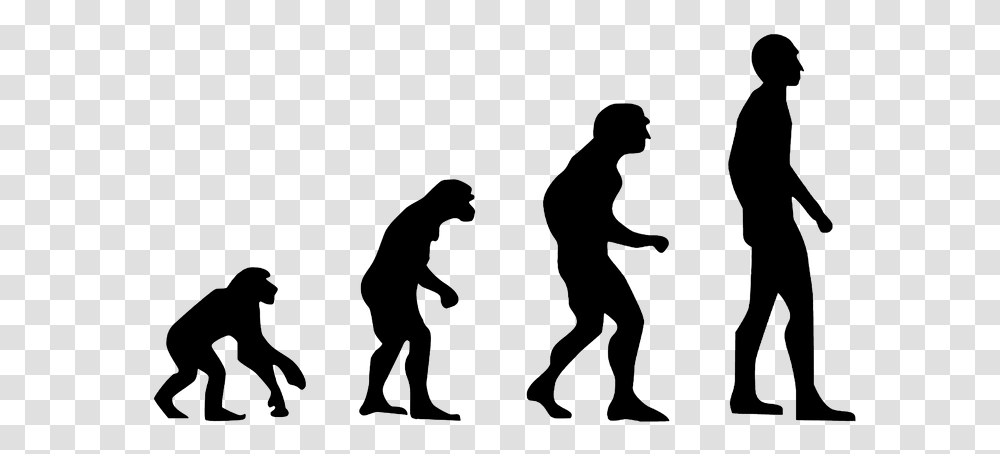 Evolution Human Evolution The Theory Of Evolution Theory Of Evolution, Person, Silhouette, People, Leisure Activities Transparent Png