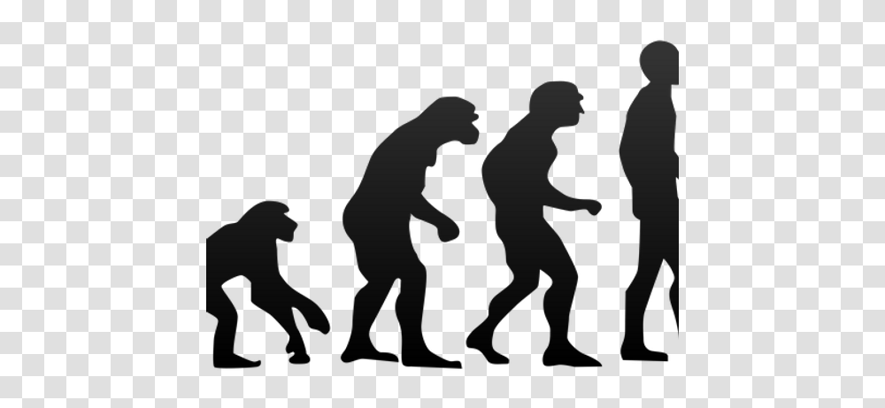 Evolution Lessons Are Under Sabotage In Arizona Scientists Say, Person, Silhouette, People, Pedestrian Transparent Png