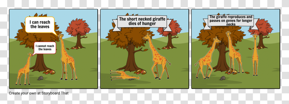 Evolution Of Giraffes Neck Cartoon, Zoo, Animal, Tree, Plant Transparent Png
