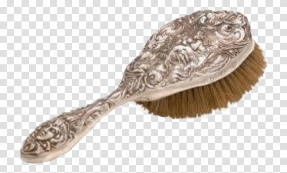 Evolution Of The Hairbrush, Fungus, Animal, Cutlery, Bird Transparent Png