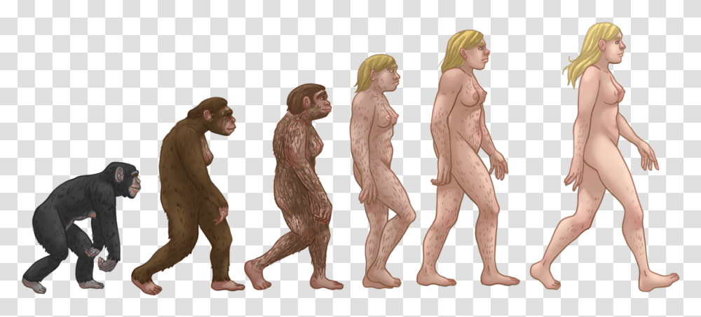 Evolution, Person, Figurine, Suit, Overcoat Transparent Png
