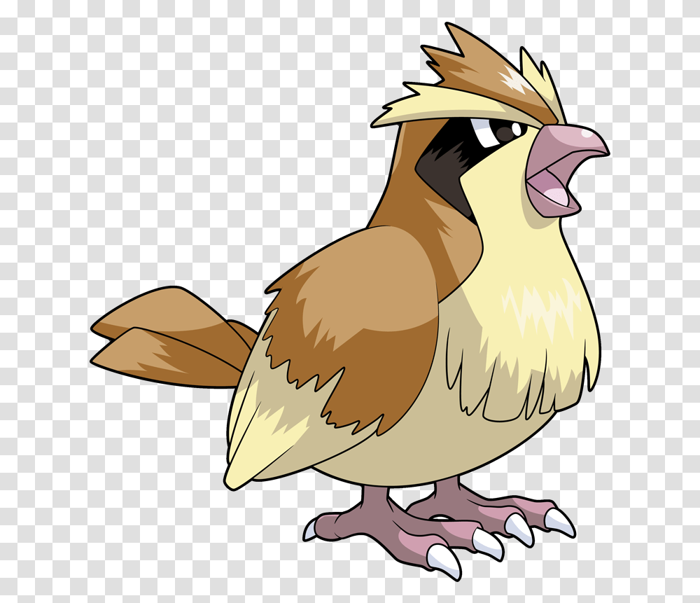 Evolution Pidgey Pokemon, Animal, Bird, Poultry, Fowl Transparent Png