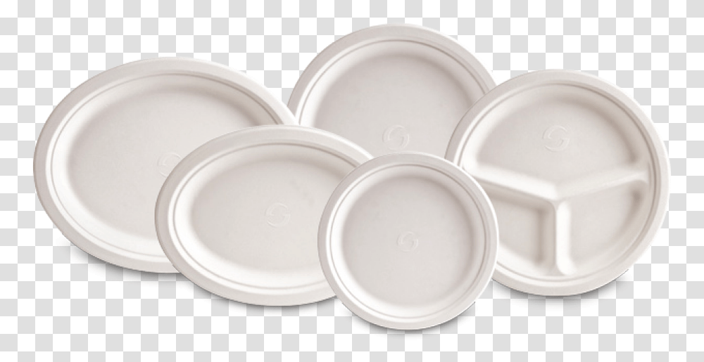 Evolution Plates Plate, Porcelain, Art, Pottery, Saucer Transparent Png