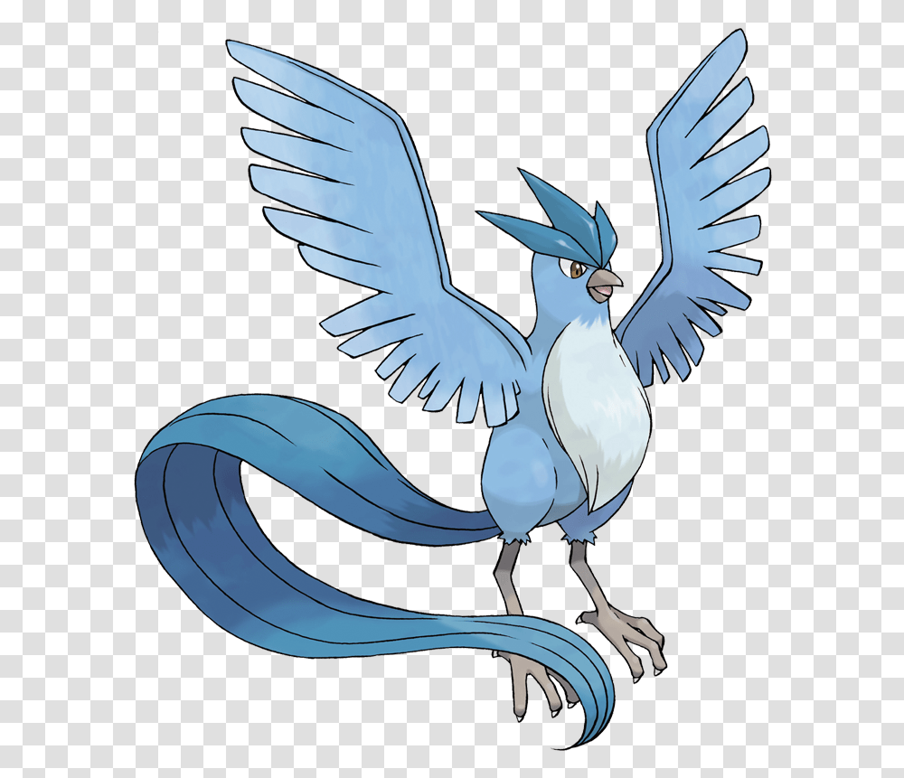 Evolution Pokmon Articuno, Animal, Bird, Symbol, Jay Transparent Png