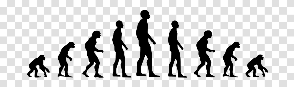 Evolution Zombie, Gray, World Of Warcraft Transparent Png