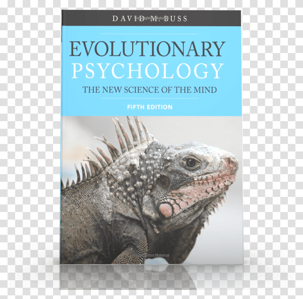 Evolutionary Psychology David Buss, Iguana, Lizard, Reptile, Animal Transparent Png