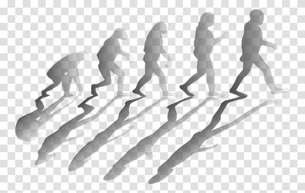Evolve Evolucion, Person, Fitness, Working Out, Sport Transparent Png