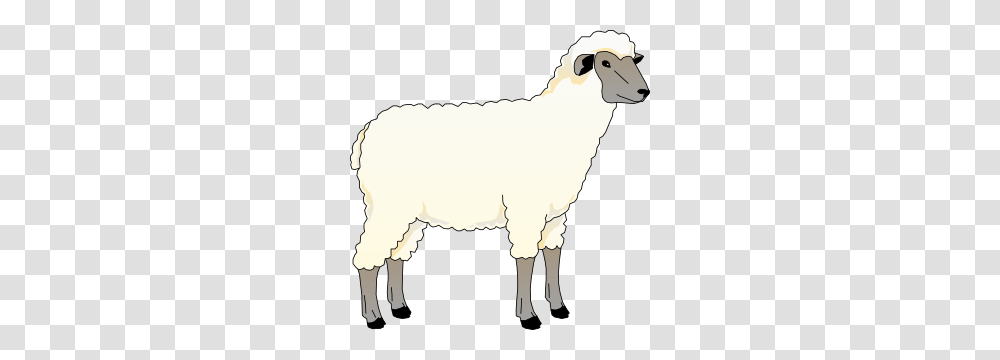 Ewe Cliparts, Animal, Mammal, Goat, Sheep Transparent Png