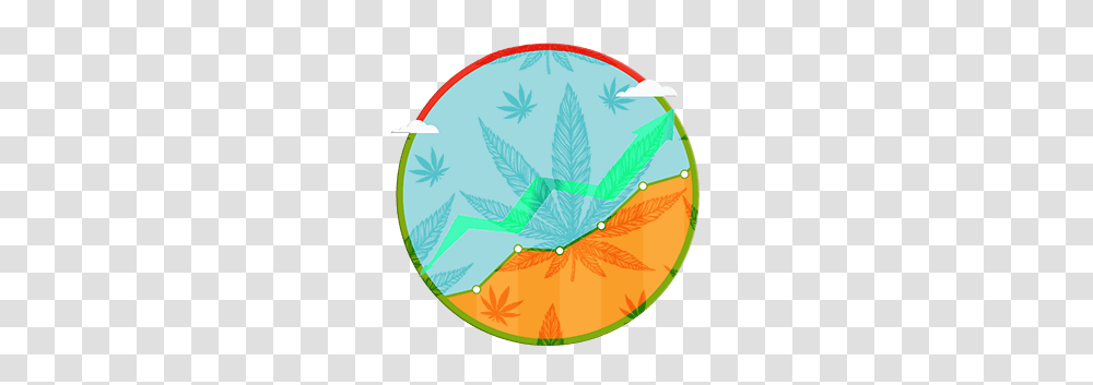 Examining The Increasing Strength Of Marijuana, Leaf, Plant, Frisbee, Tent Transparent Png