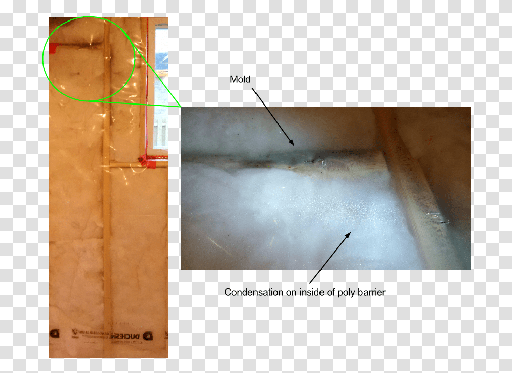 Example Of Condensation Condensation In Basement Insulation, Collage, Poster, Advertisement, Animal Transparent Png