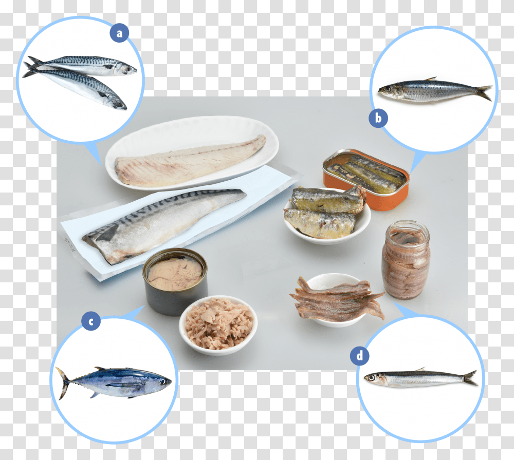 Examples Of Fish Which Contain Elevated Levels Of Naturally Ceramic, Soil, Food, Meal, Porcelain Transparent Png