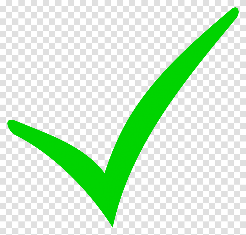 Excel Clipart Check Mark Transparent Png