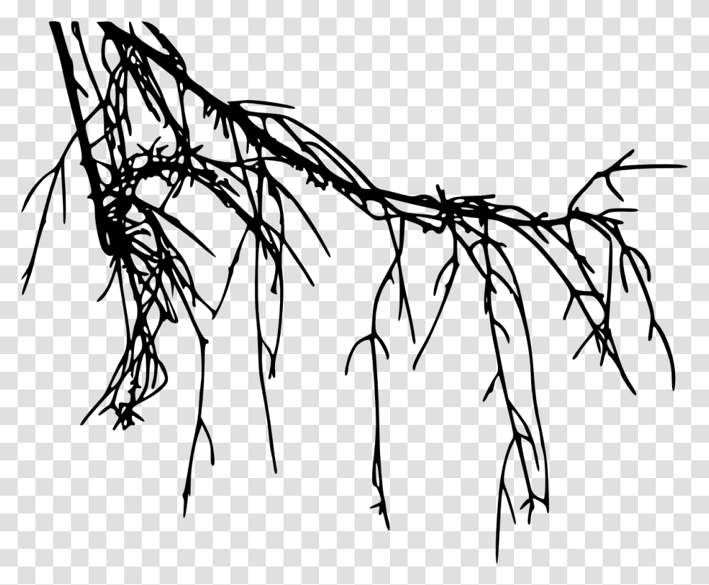 Excellent Heart Root Tree Roots Breastfeeding Roots Black, Plant, Leaf, Insect, Invertebrate Transparent Png