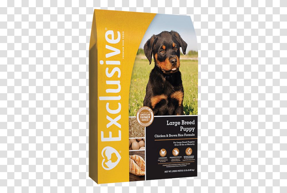 Exclusive Large Breed Puppy Dog Food Chicken And Brown Exclusive Large Breed Dog Food, Poster, Advertisement, Flyer, Paper Transparent Png