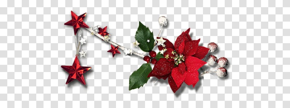 Exclusive Png's Magical Christmas Evergreen Rose, Plant, Leaf, Flower, Petal Transparent Png