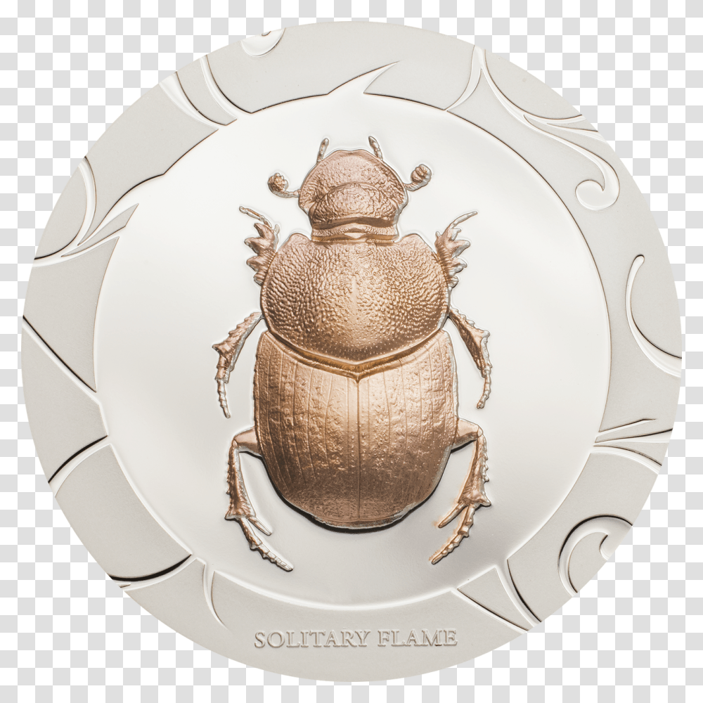 Executive And Coaching Supporting Groups In Transition Fake People, Dung Beetle, Insect, Invertebrate, Animal Transparent Png