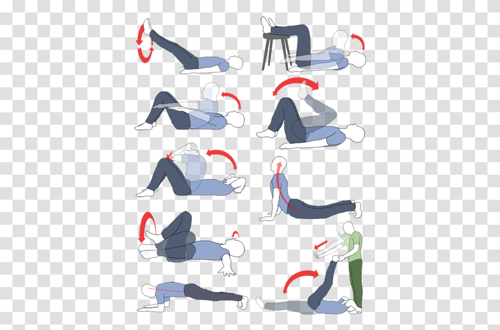 Exercise For Belly Fat After C Section, Person, Bird, Poster, Sport Transparent Png