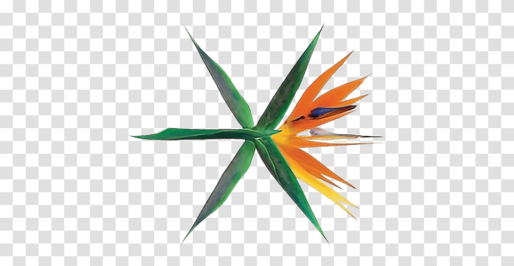 Exo Koko Bop Album, Ornament, Plant, Pattern, Leaf Transparent Png