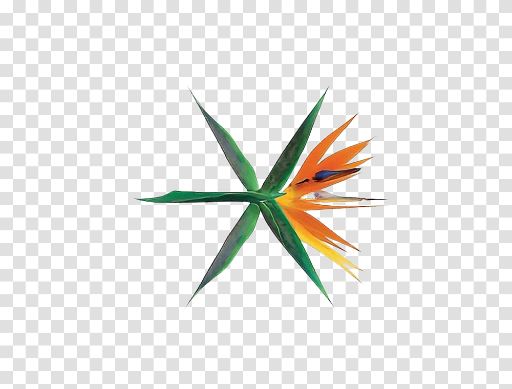 Exo Logo Ko Ko Bop Comeback, Plant, Leaf, Weed Transparent Png