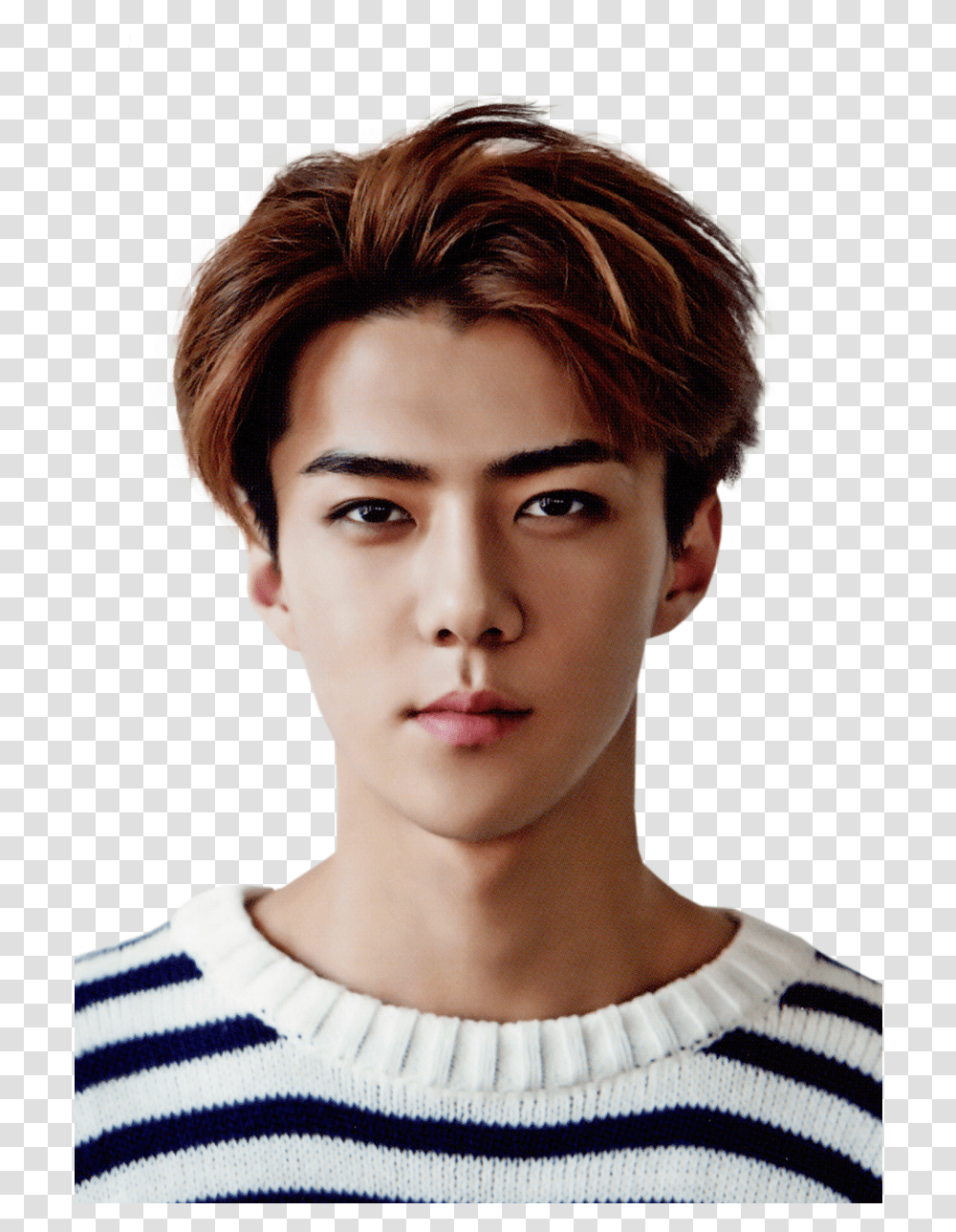 Exo Sehun And Kpop Image Exo Sehun Brown Hair, Face, Person, Head, Portrait Transparent Png