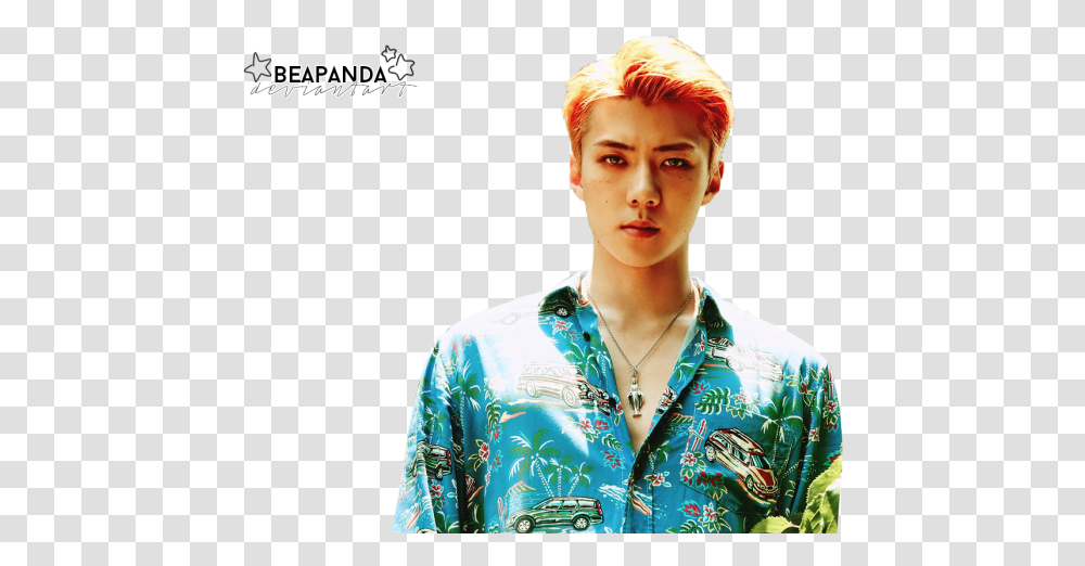 Exo The War Concept, Person, Sleeve, Pendant Transparent Png