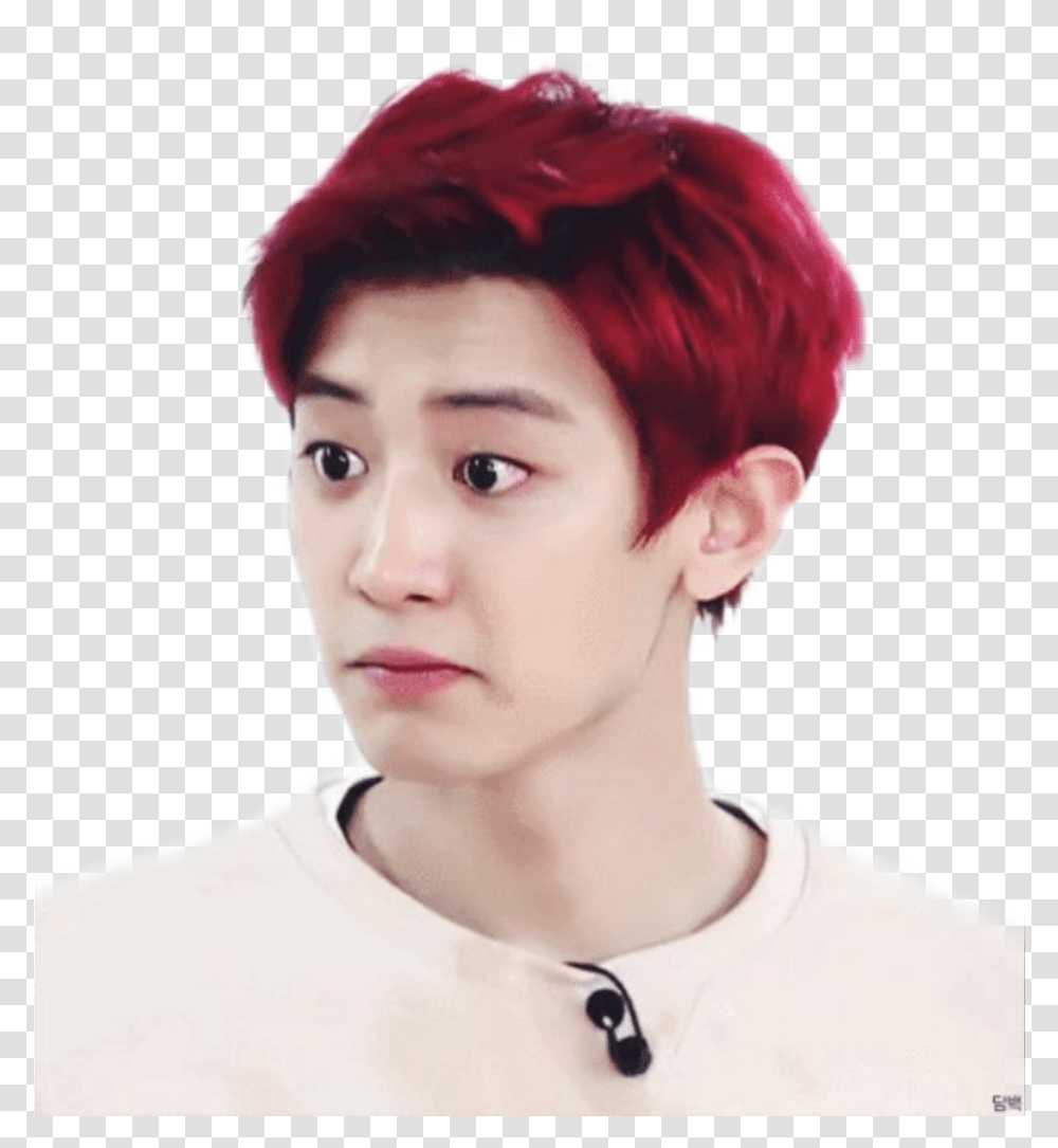 Exochanyeol Exo Gif, Face, Person, Human, Hair Transparent Png