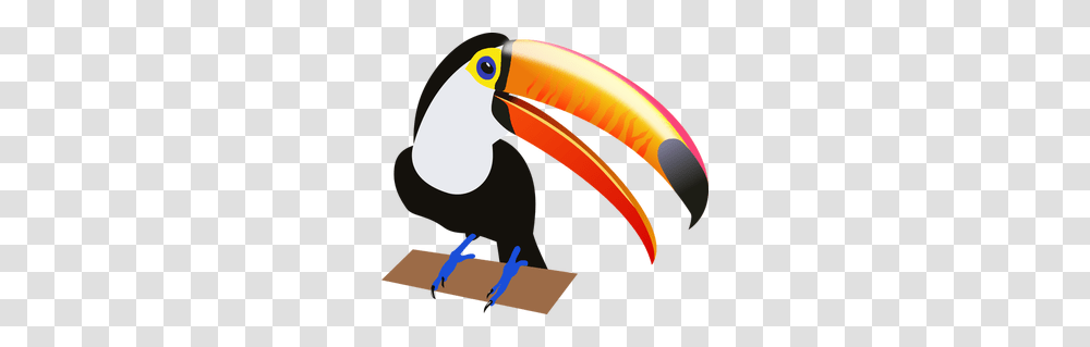 Exotic Bird Clip Art, Beak, Animal, Helmet Transparent Png