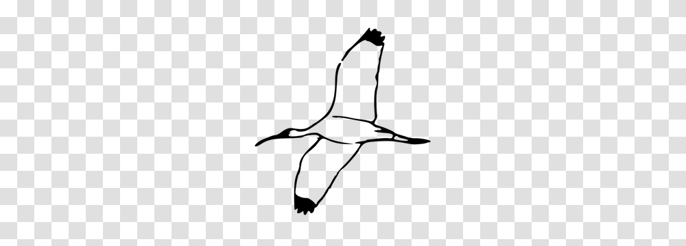 Exotic Bird Clip Art, Gray, World Of Warcraft Transparent Png