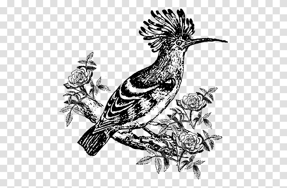 Exotic Bird Svg Clip Arts Hud Hud Bird Clipart, Animal, Drawing, Doodle Transparent Png