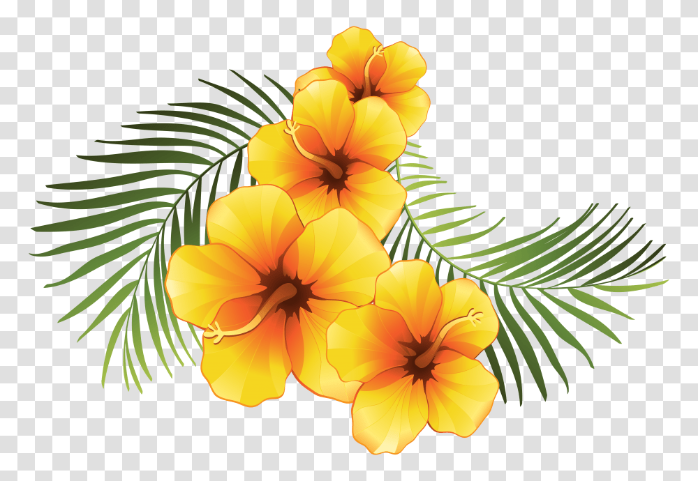 Exotic Clipart Hawaiian, Plant, Flower, Blossom, Hibiscus Transparent Png