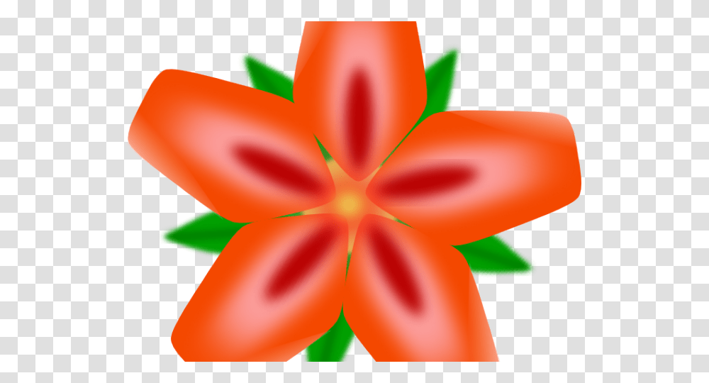 Exotic Clipart Mexican Flower Download Hawaiian Flowers Clip Art, Plant, Petal, Blossom, Leaf Transparent Png