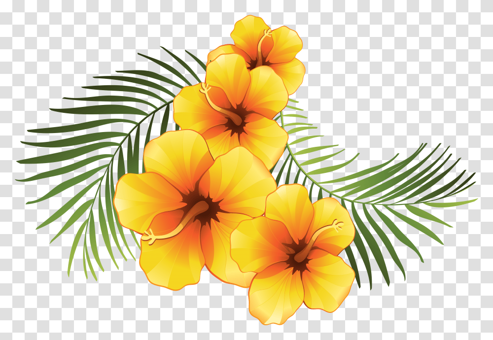 Exotic Floral Decoration Clip Art Image Tropical Flowers Background, Plant, Blossom, Geranium Transparent Png
