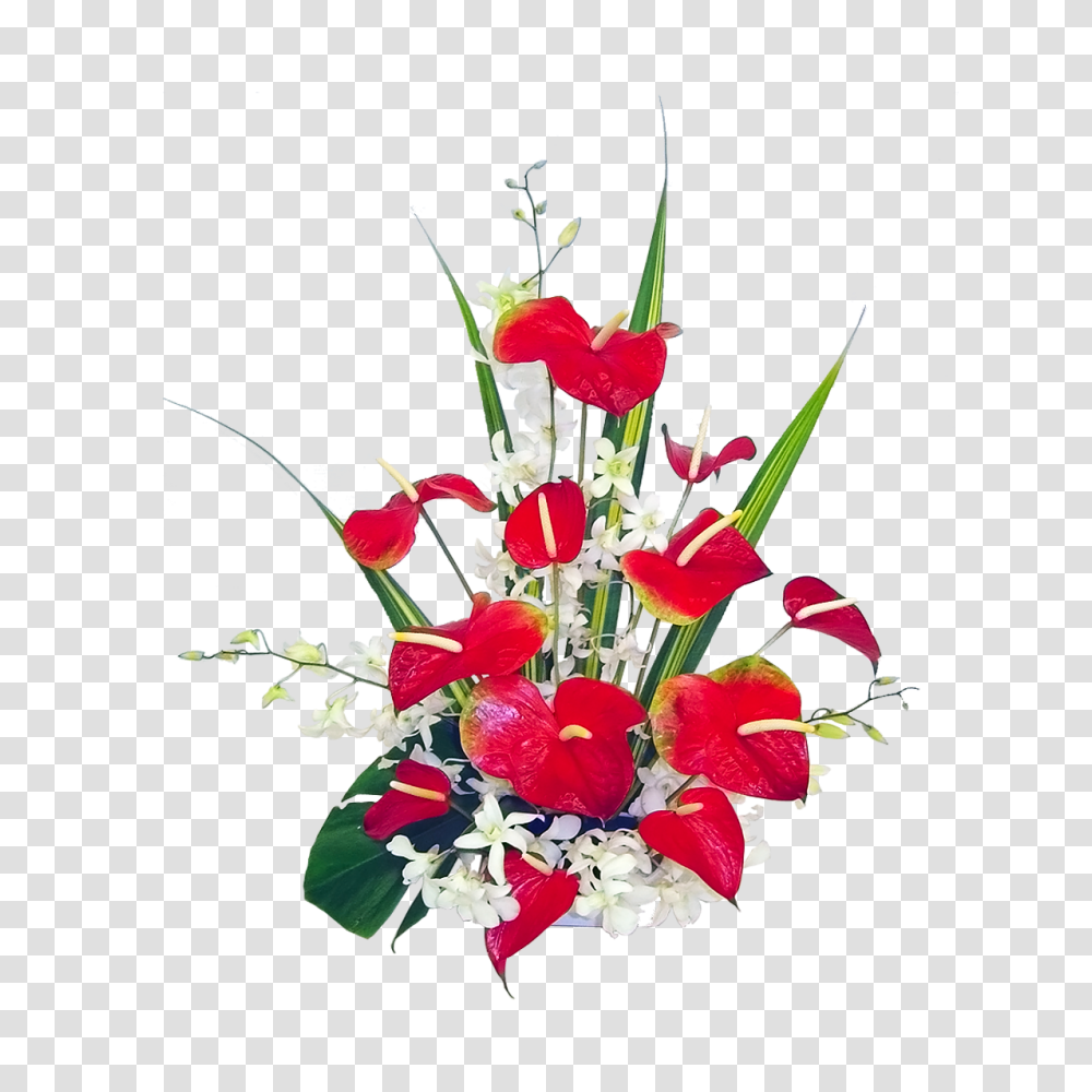 Exotic Flower Clip Art Free Image Information, Plant, Floral Design, Pattern Transparent Png