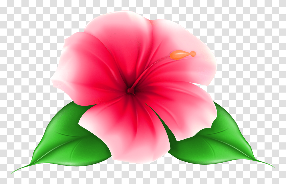 Exotic Flower Clip Art Image Background Flower Clipart Transparent Png