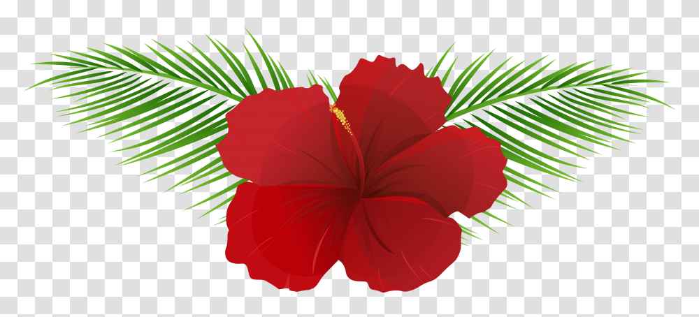 Exotic Flower Clip Art, Plant, Hibiscus, Blossom, Petal Transparent Png