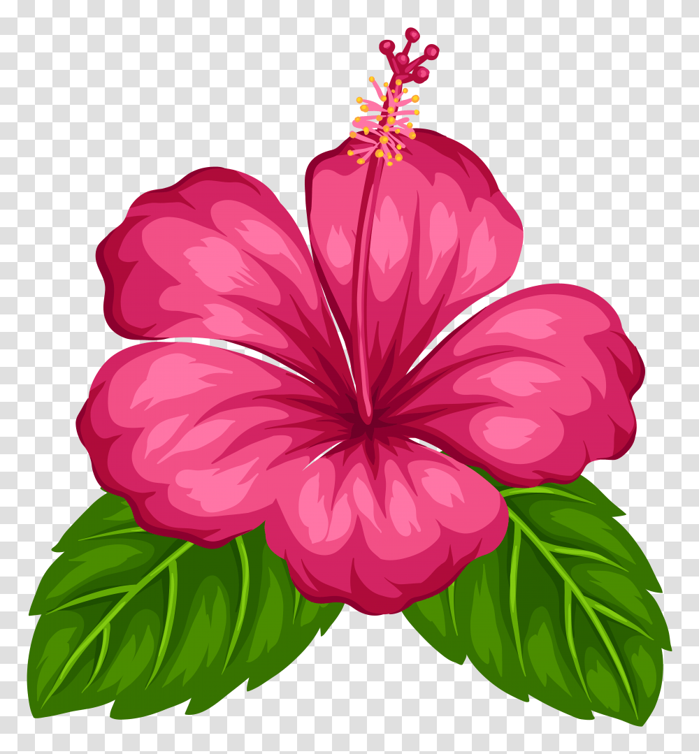 Exotic Flower Clip Art, Plant, Hibiscus, Blossom, Petal Transparent Png