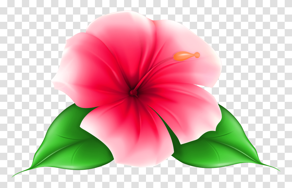 Exotic Flower Clip Art Transparent Png