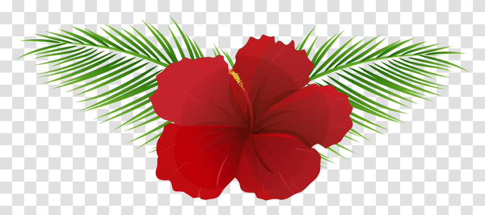 Exotic Flower Clipart Hawaiian Flower, Plant, Hibiscus, Blossom, Petal Transparent Png