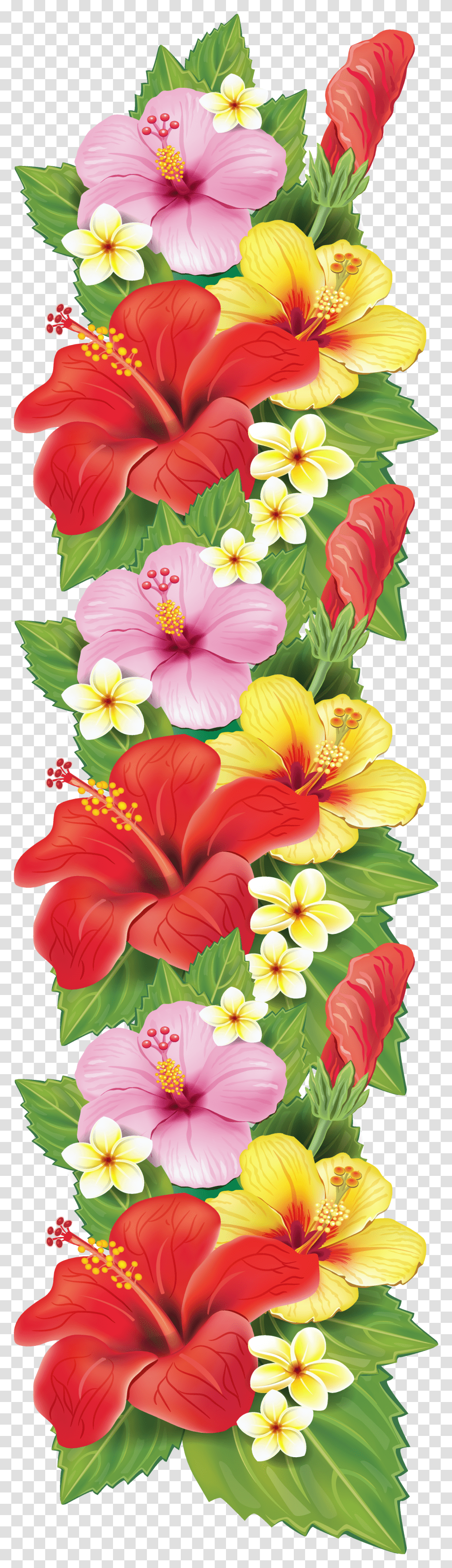 Exotic Flowers Decoration Clipart Flower Clipart Border Design, Plant, Hibiscus, Blossom, Pollen Transparent Png