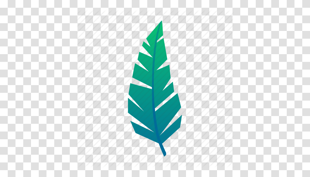 Exotic Green Jungle Leaf Leaves Plant Tropical Icon, Wristwatch, Veins, Maple Leaf Transparent Png