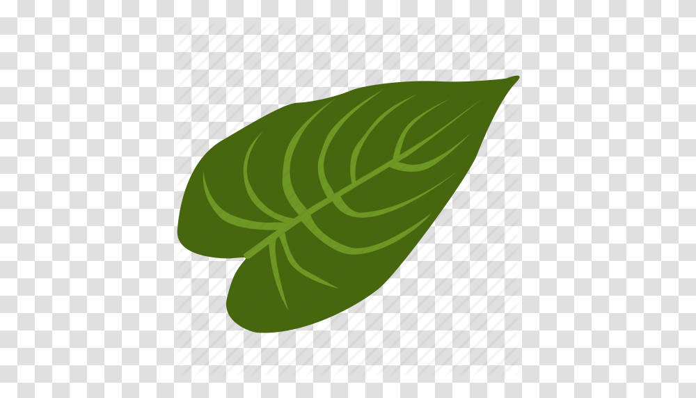 Exotic Herb Leave Plant Tropical Icon, Leaf, Green, Rug, Tree Transparent Png