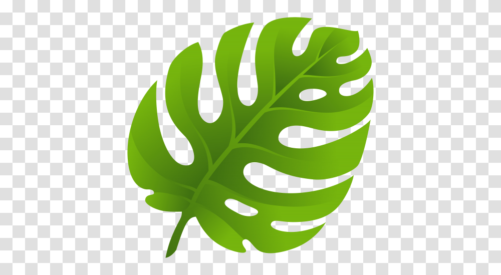 Exotic Leaf Clip Art, Plant, Green, Fern, Veins Transparent Png