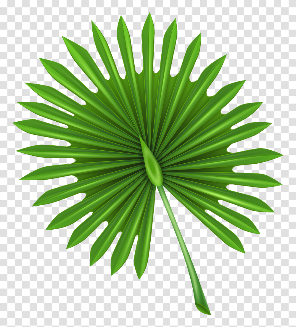 Exotic Leaf Clip Art Transparent Png