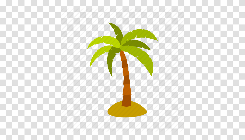 Exotic Leaf Nature Palm Plant Tree Tropical Icon, Palm Tree, Arecaceae, Lamp Transparent Png