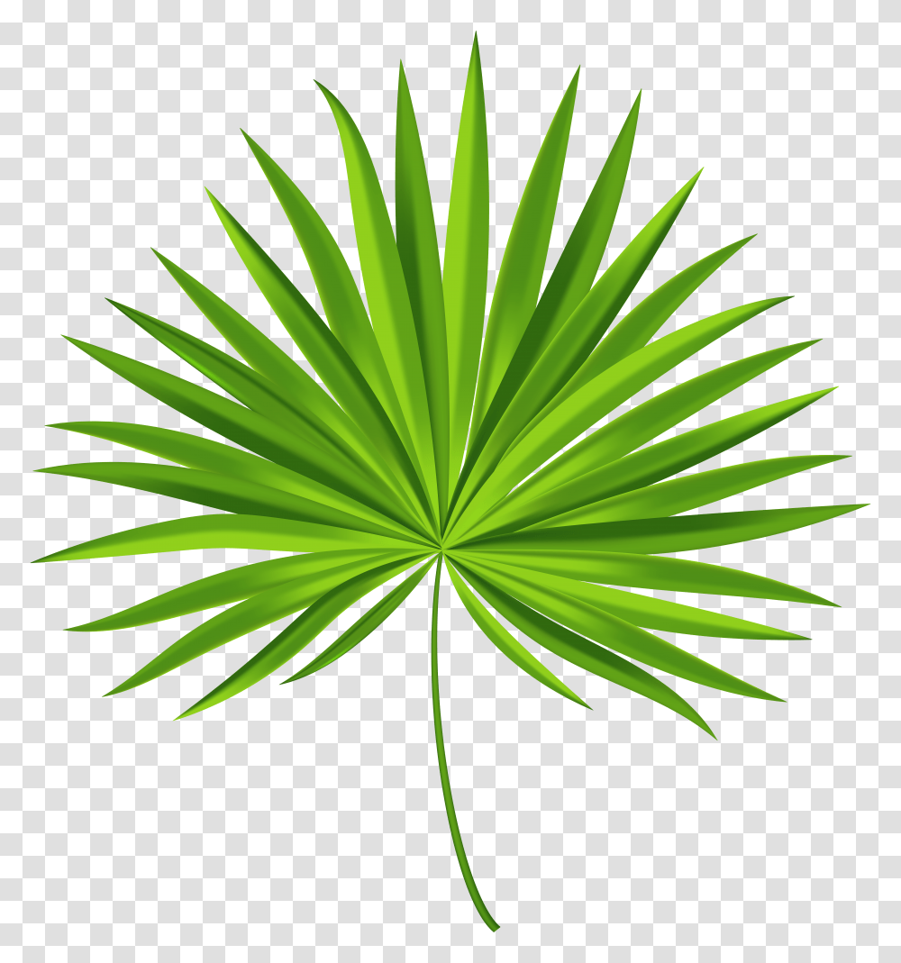 Exotic Palm Leaf Clip Art Gallery Transparent Png