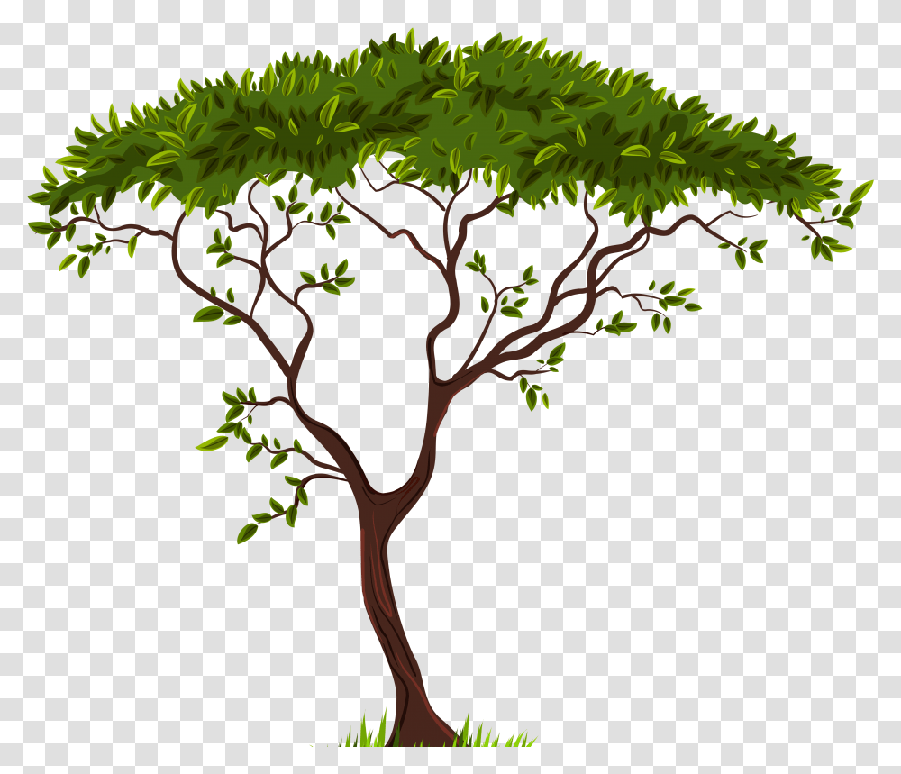Exotic Tree Clip Art Background Tree Clip Art, Plant, Vegetation, Leaf, Tree Trunk Transparent Png